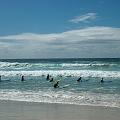 GC Surfers